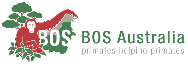 BOSA Canopy Logo